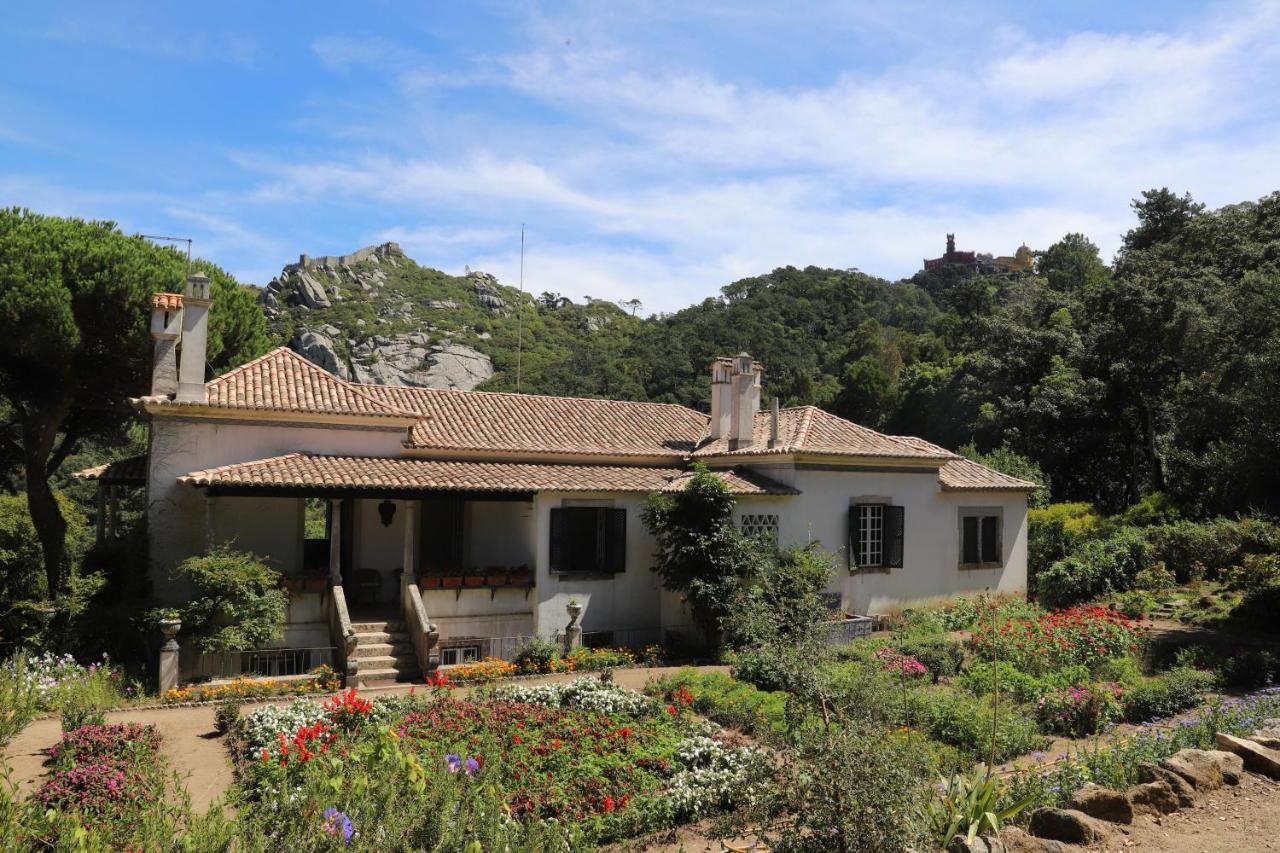 Chalet Chapeu De Sol - Sintra Exteriör bild