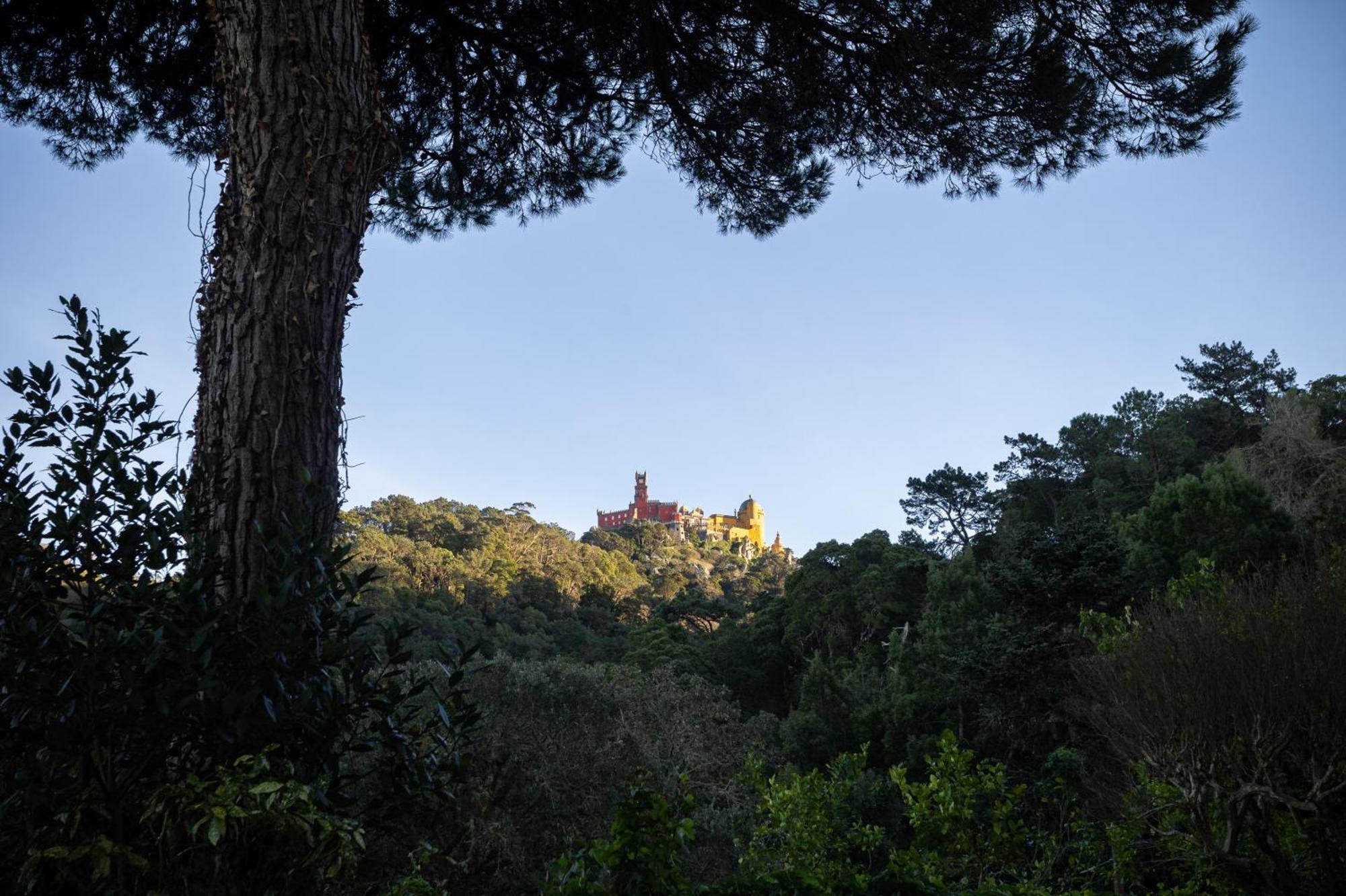 Chalet Chapeu De Sol - Sintra Exteriör bild