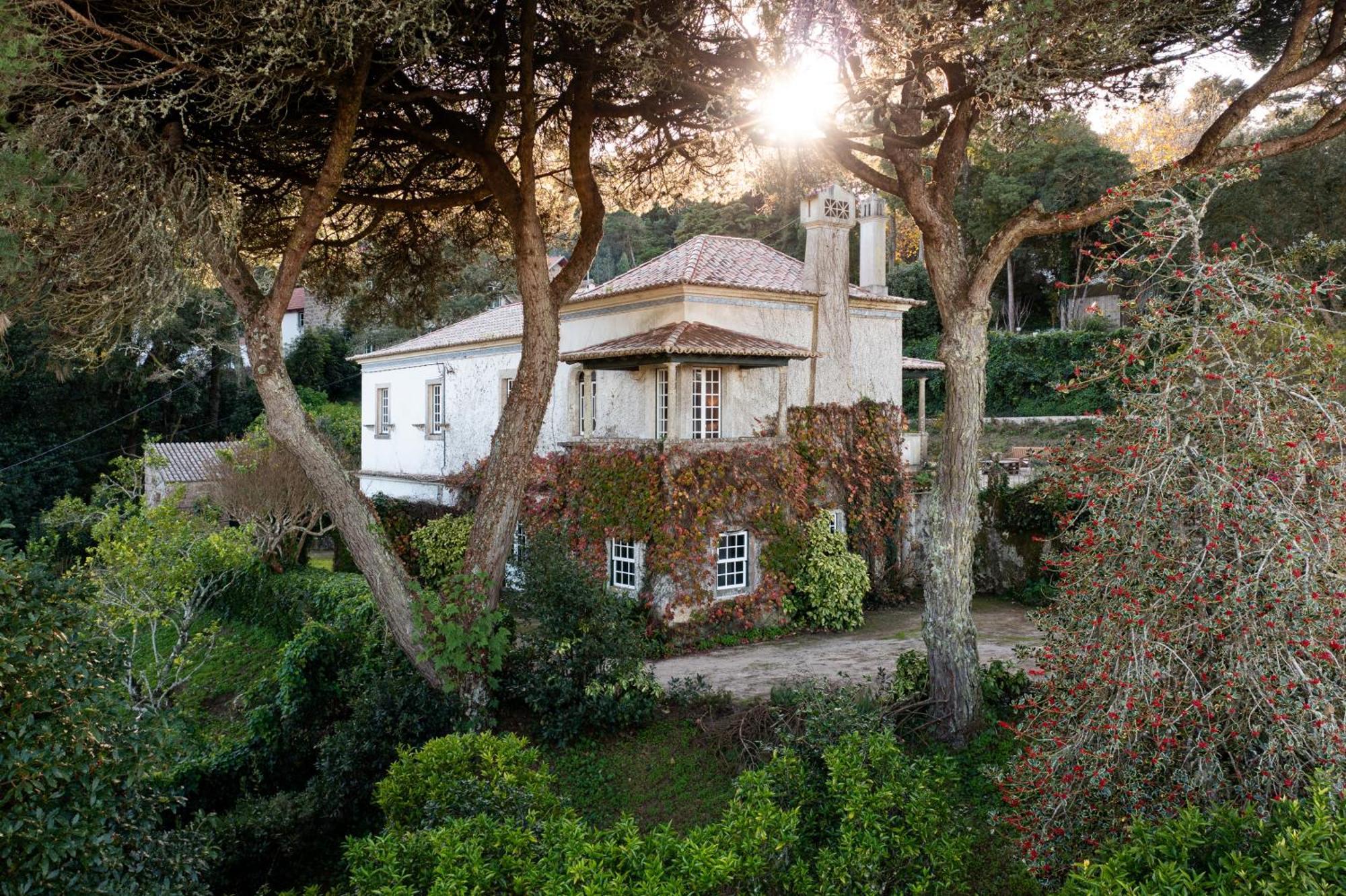 Chalet Chapeu De Sol - Sintra Exteriör bild